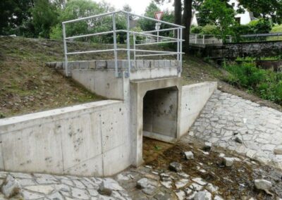 Rybník Dolní Návesní