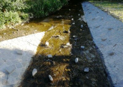 Rybník Dolní Návesní